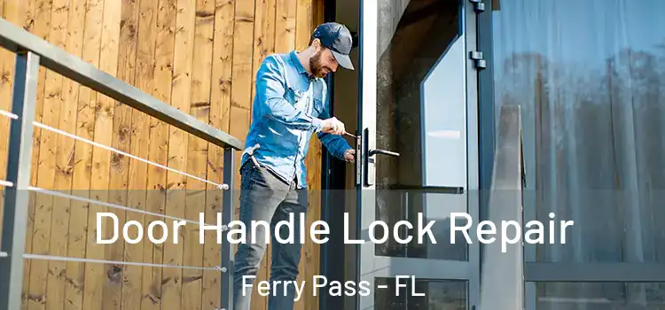 Door Handle Lock Repair Ferry Pass - FL