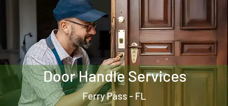 Door Handle Services Ferry Pass - FL