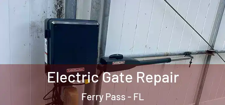  Electric Gate Repair Ferry Pass - FL