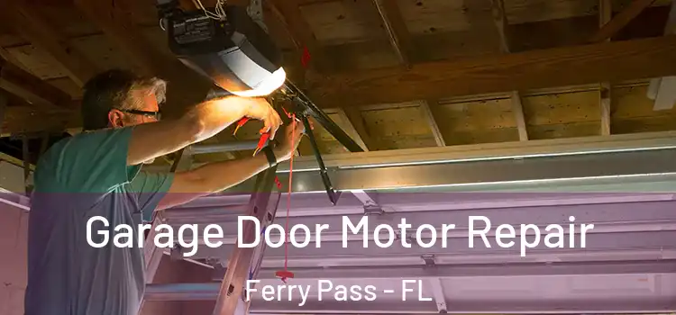  Garage Door Motor Repair Ferry Pass - FL