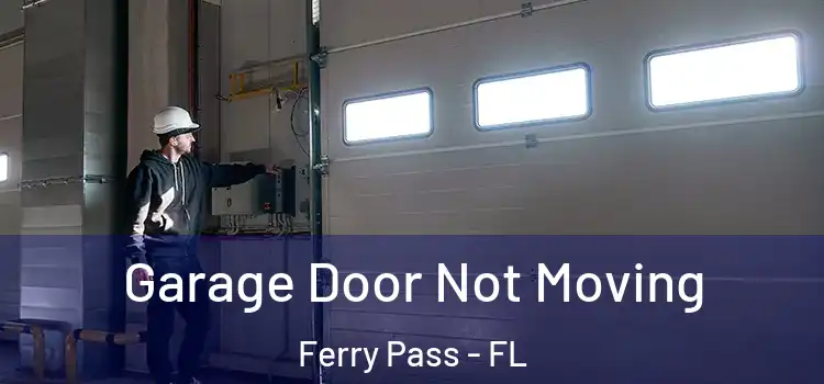  Garage Door Not Moving Ferry Pass - FL