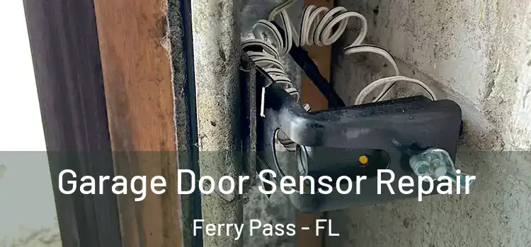 Garage Door Sensor Repair Ferry Pass - FL