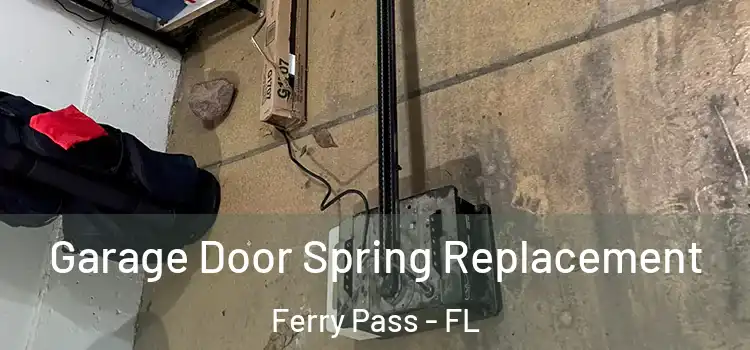  Garage Door Spring Replacement Ferry Pass - FL