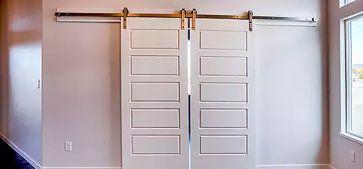 Glass Barn Door with Installation Hardware Kit Ferry Pass