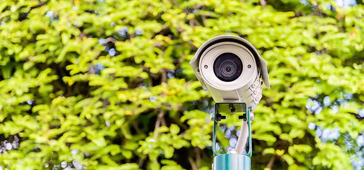 Advanced Surveillance Solutions for Every Need in Ferry Pass