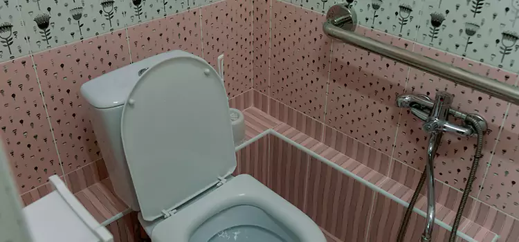 Meeting Diverse Needs With Accessible Restroom Solutions in Ferry Pass, FL