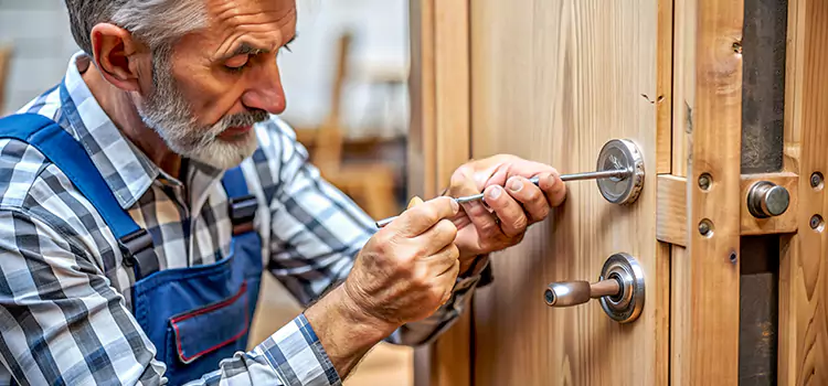 Mortise Replacement Lock Ferry Pass