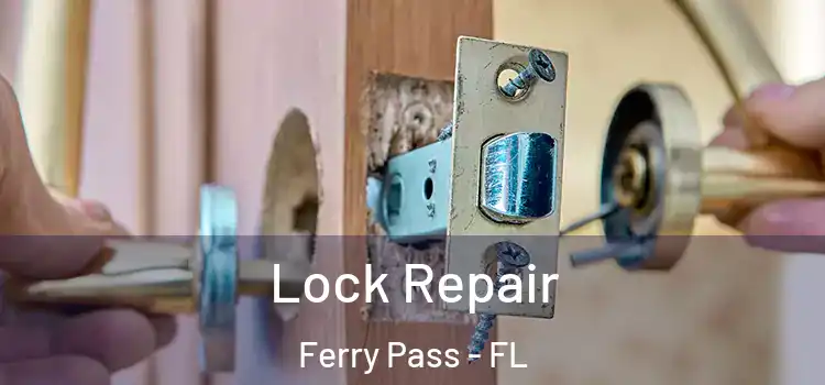Lock Repair Ferry Pass - FL