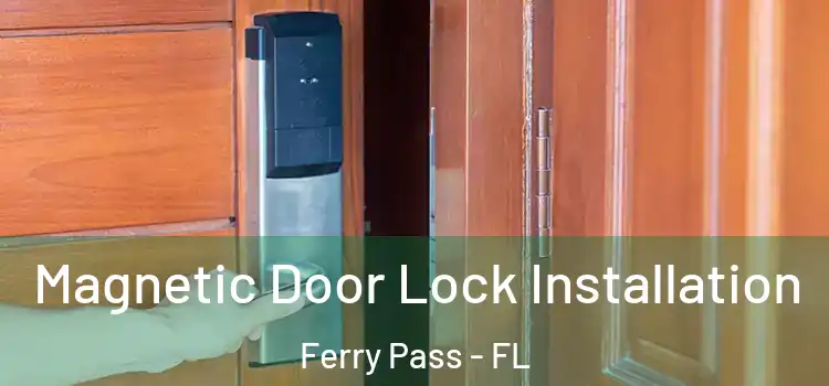  Magnetic Door Lock Installation Ferry Pass - FL