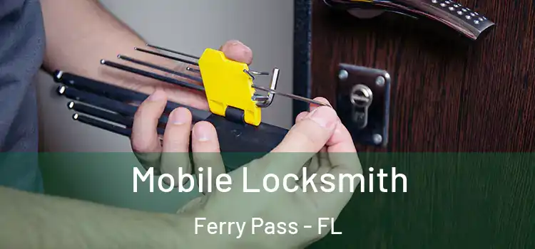 Mobile Locksmith Ferry Pass - FL