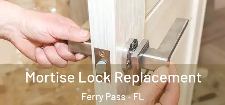 Mortise Lock Replacement Ferry Pass - FL